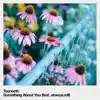 Toonorth - Something About You (feat. Slowya.Roll) - Single